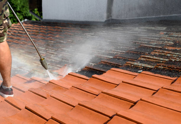 Best Best Pressure Washing Companies  in La Conner, WA