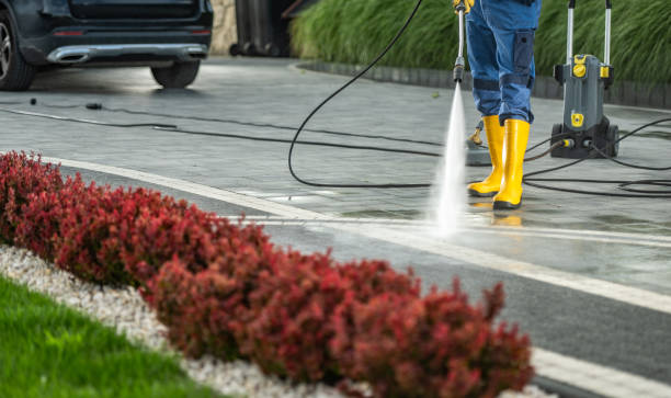Deck Cleaning Services in La Conner, WA